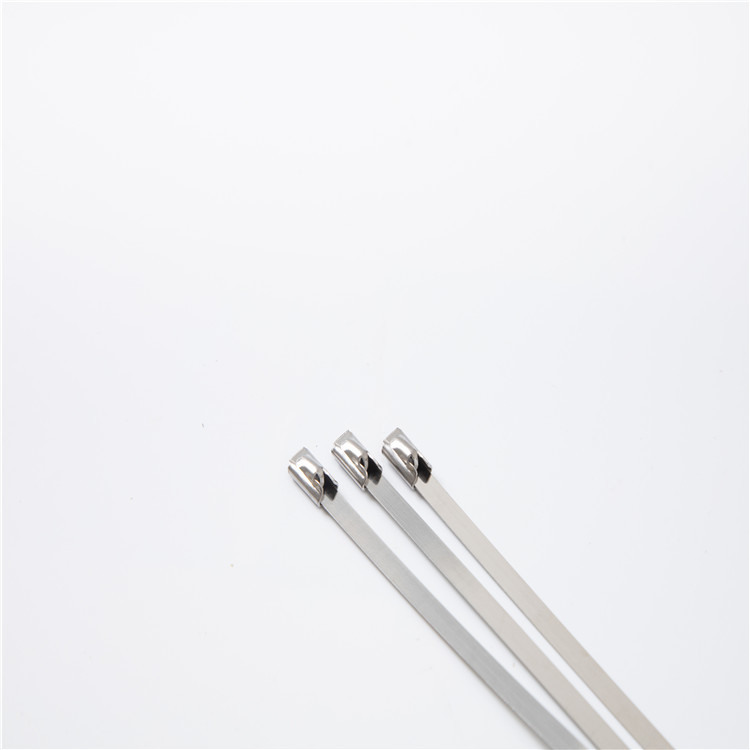 SUS304 Self Locking White 4.6300 Stainless Steel Cable Ties